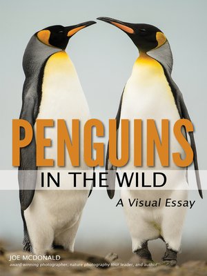 cover image of Penguins in the Wild
